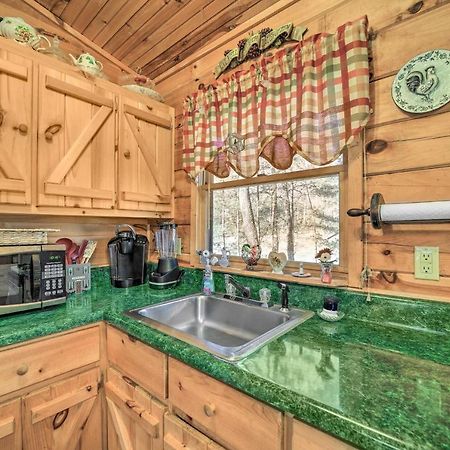 Franklin Cabin With Porch Near Hiking And Waterfalls! Bagian luar foto